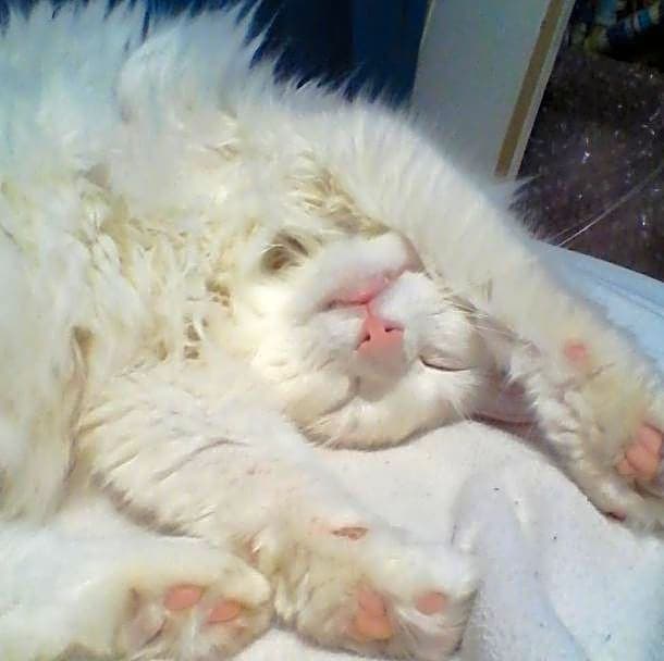 Photo of Baby