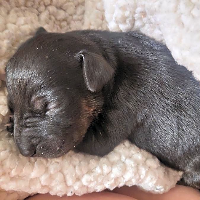Photo of midnight
