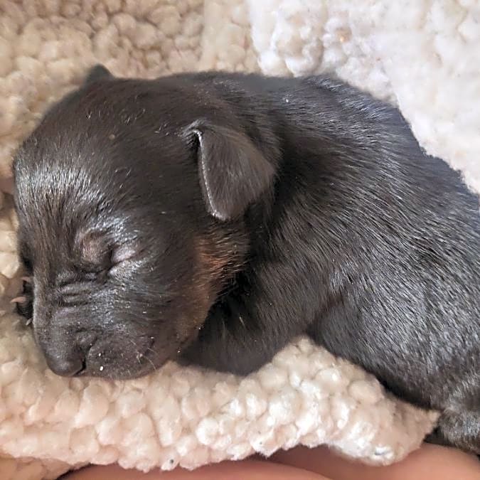 Photo of midnight