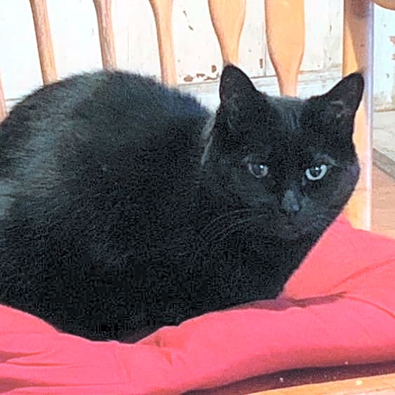 Photo of Spooky