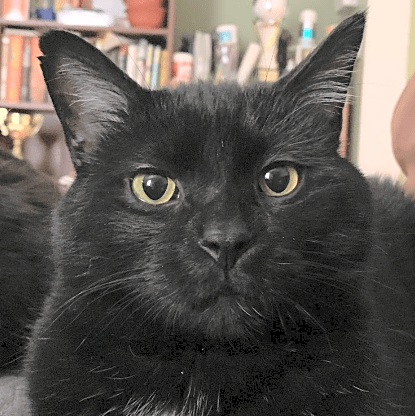 Photo of Gigi