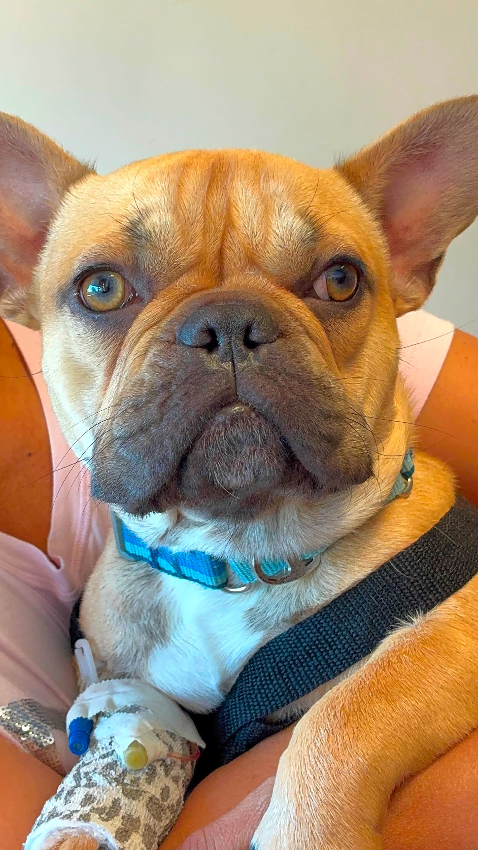 Photo of Cinco