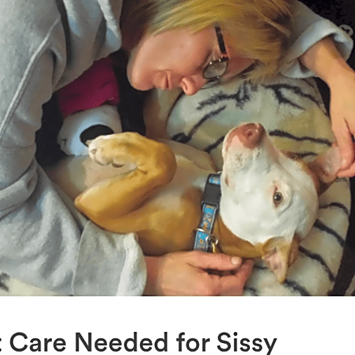 Photo of Sissy