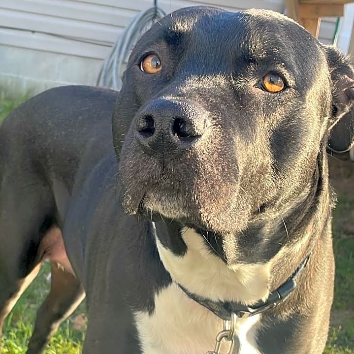 Photo of Ayla