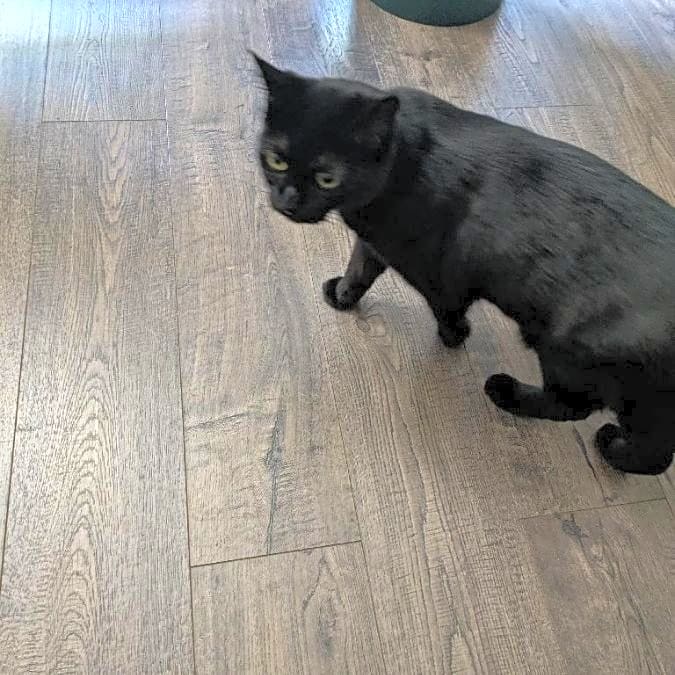 Photo of Mini
