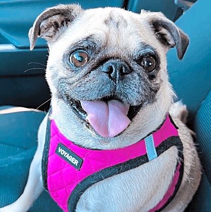 Photo of Winnie