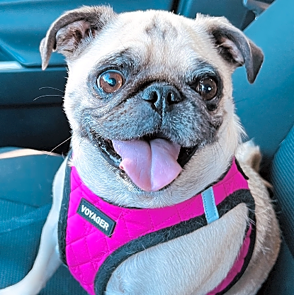 Photo of Winnie