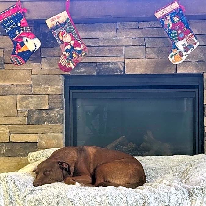 Photo of Gunner