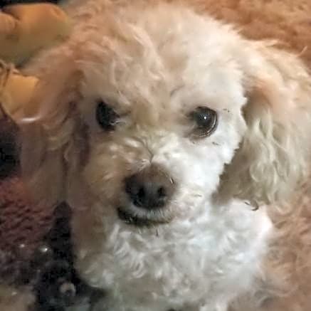 Photo of Alice