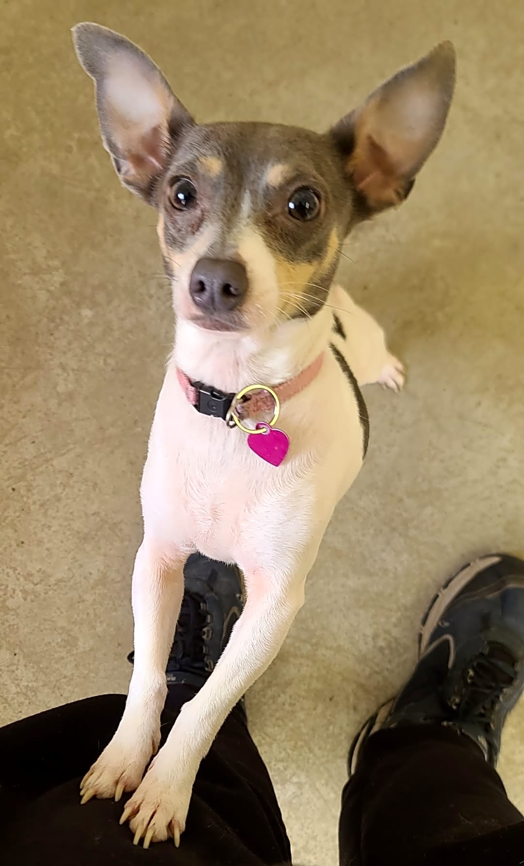 Photo of Lola