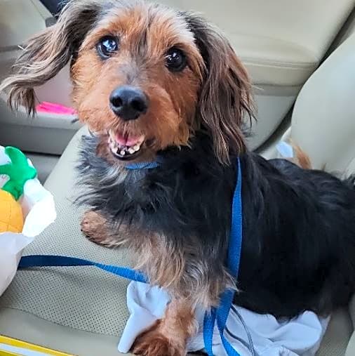 Photo of Zuzu