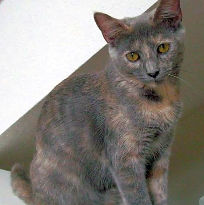 Photo of Momma