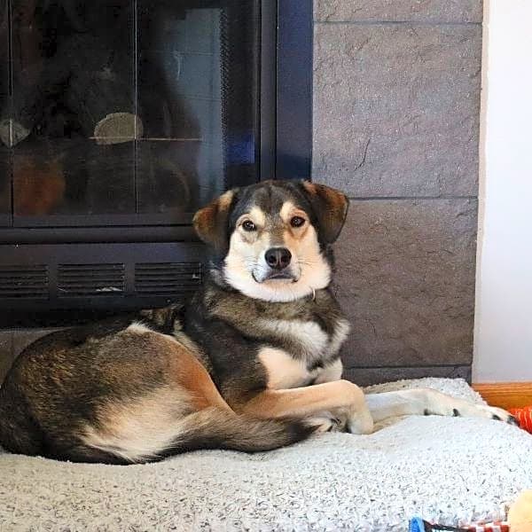Photo of Cooper