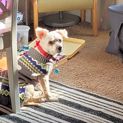 Photo of Benjie