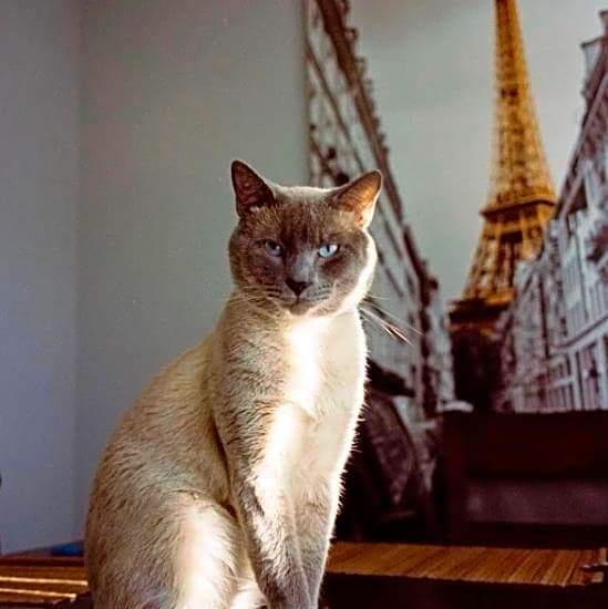 Photo of Lucas