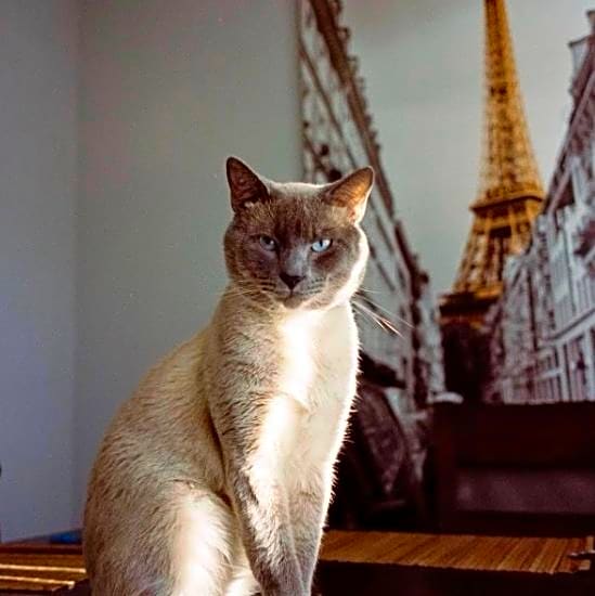 Photo of Lucas