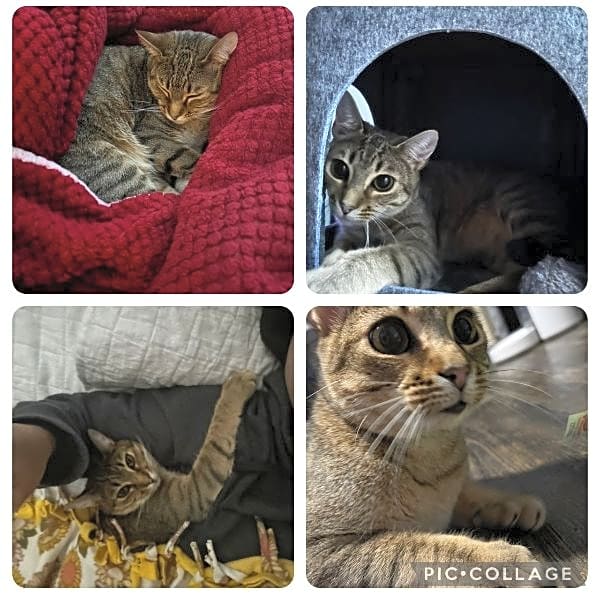Photo of Kiki