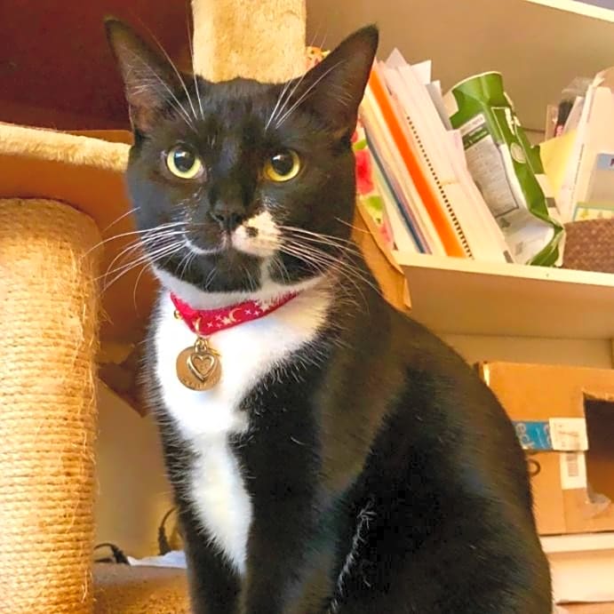 Photo of Jazz