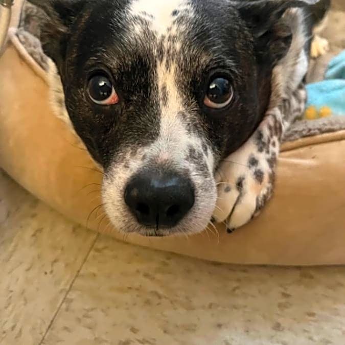 Photo of Reily