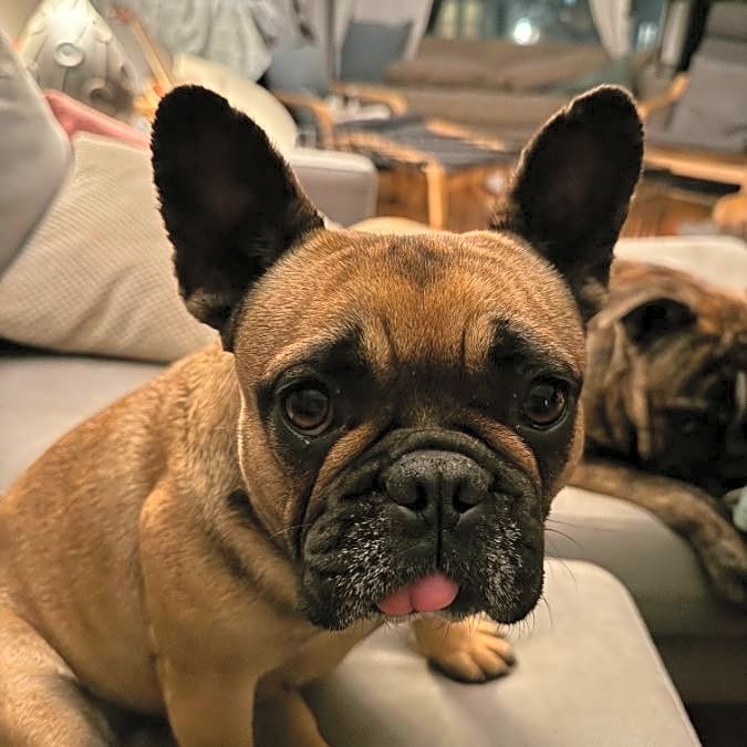 Photo of Ernie
