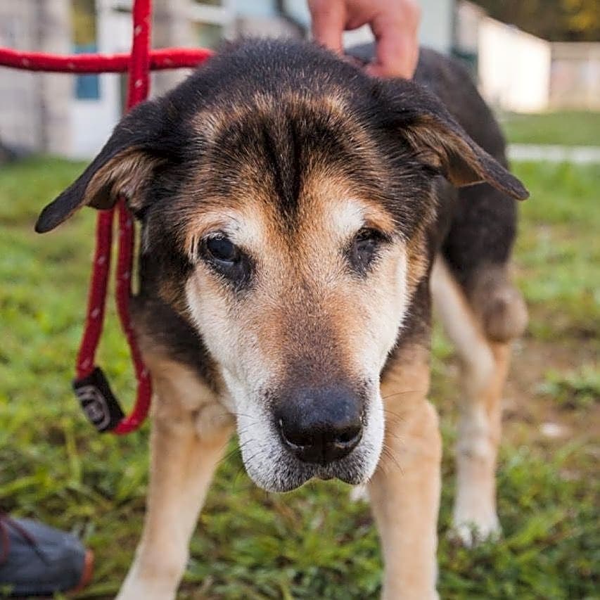 Photo of Murphy