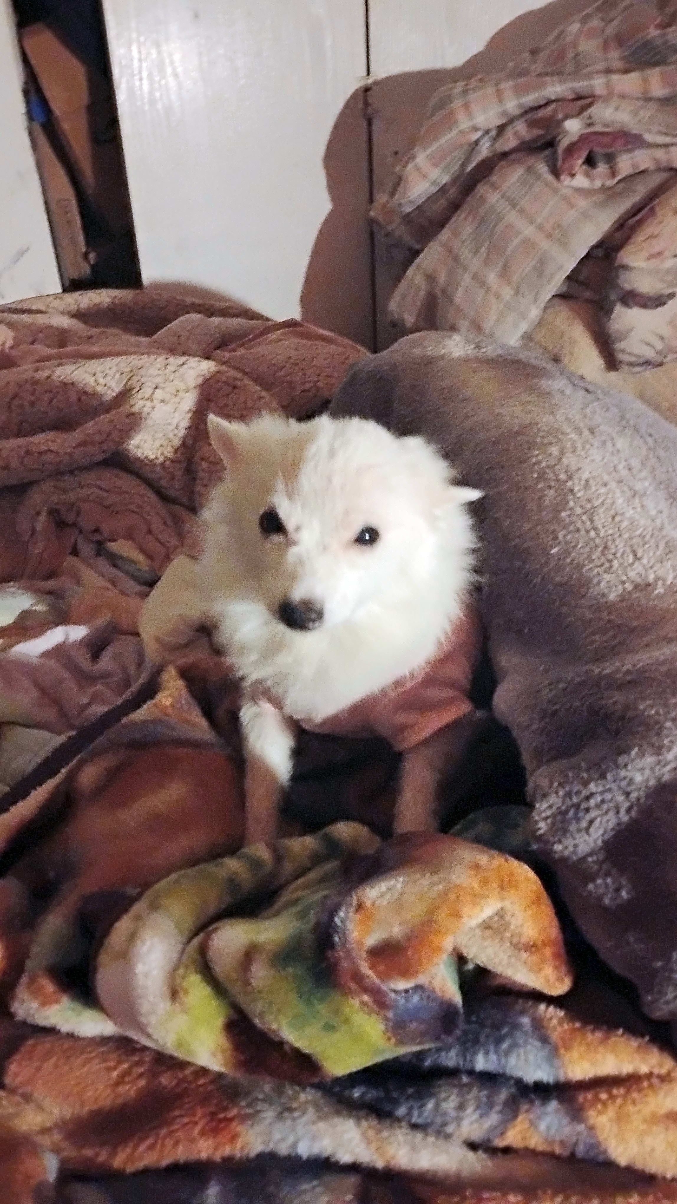 Photo of Olivia