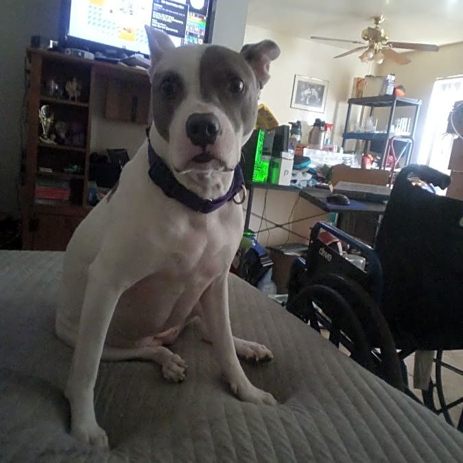 Photo of Akaleah
