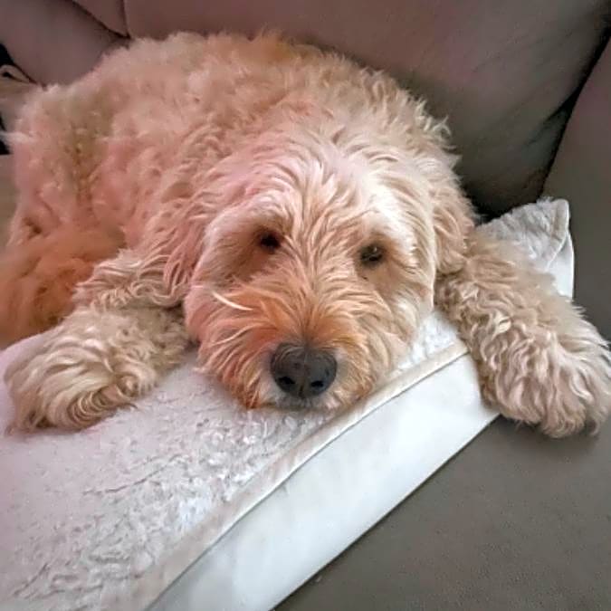 Photo of Oakley