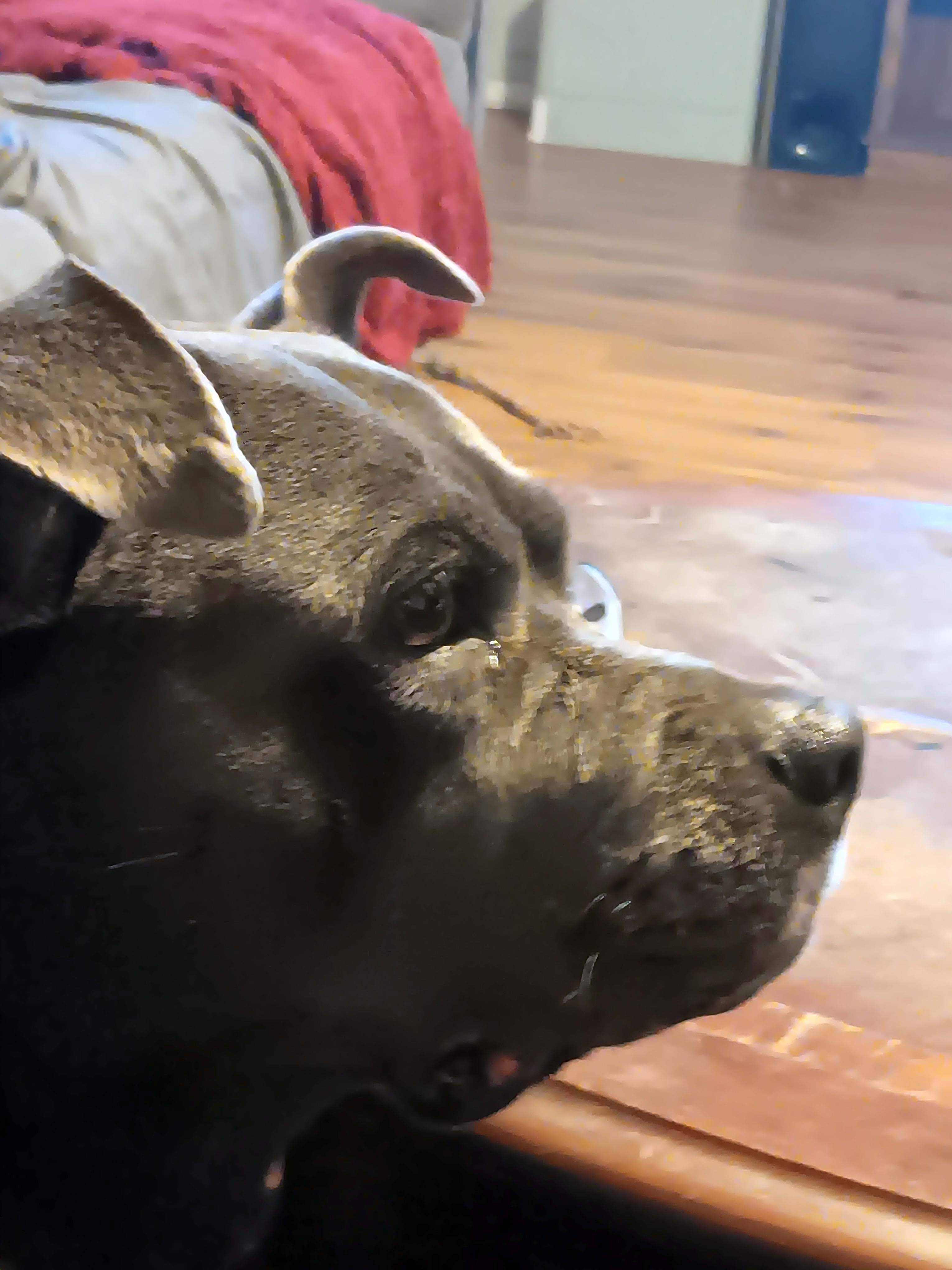 Photo of Mia