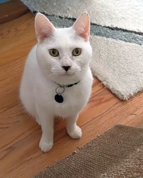 Photo of Nigel