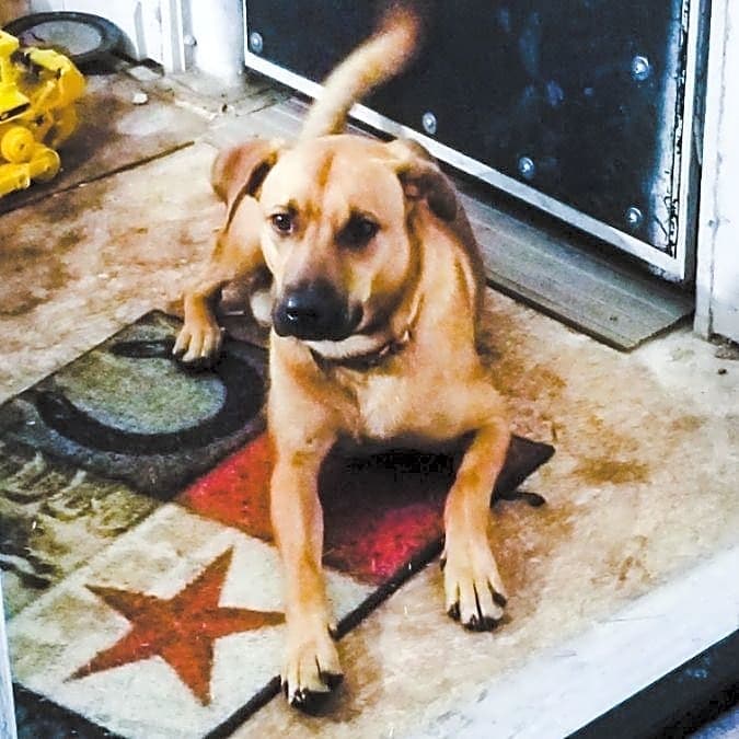 Photo of Copper