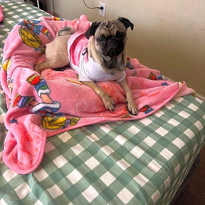 Photo of Rosie
