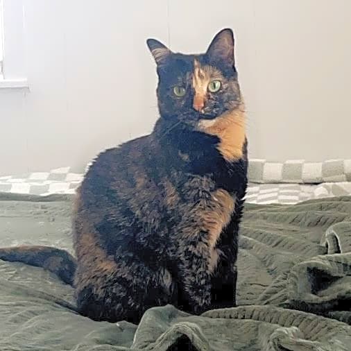 Photo of Marley Moon