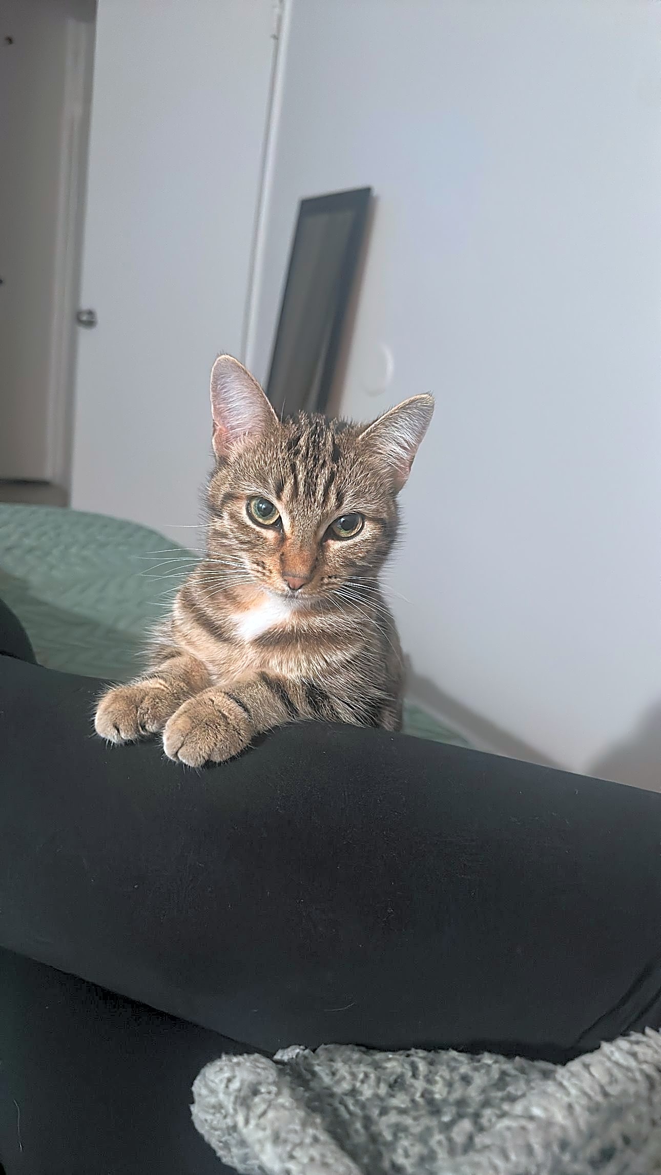 Photo of Pearl