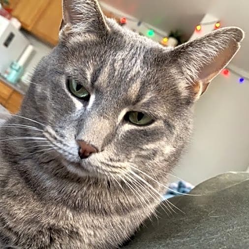 Photo of Rocket