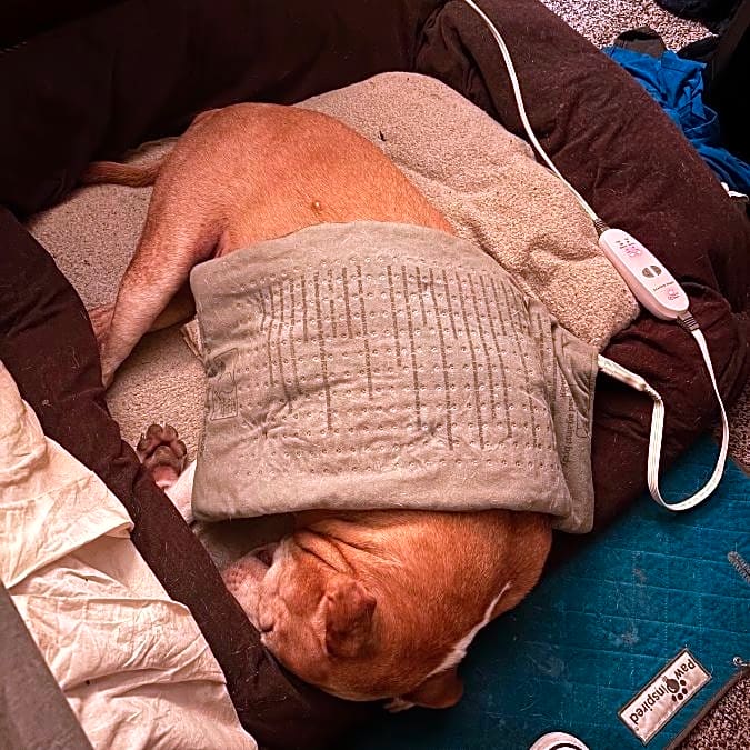 Photo of Echo