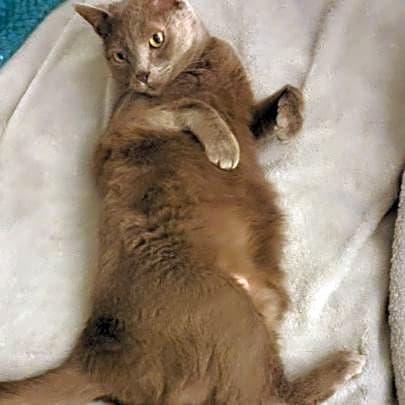 Photo of Kyah