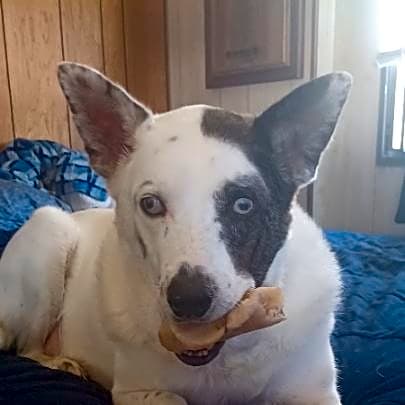 Photo of Fisher Oliver