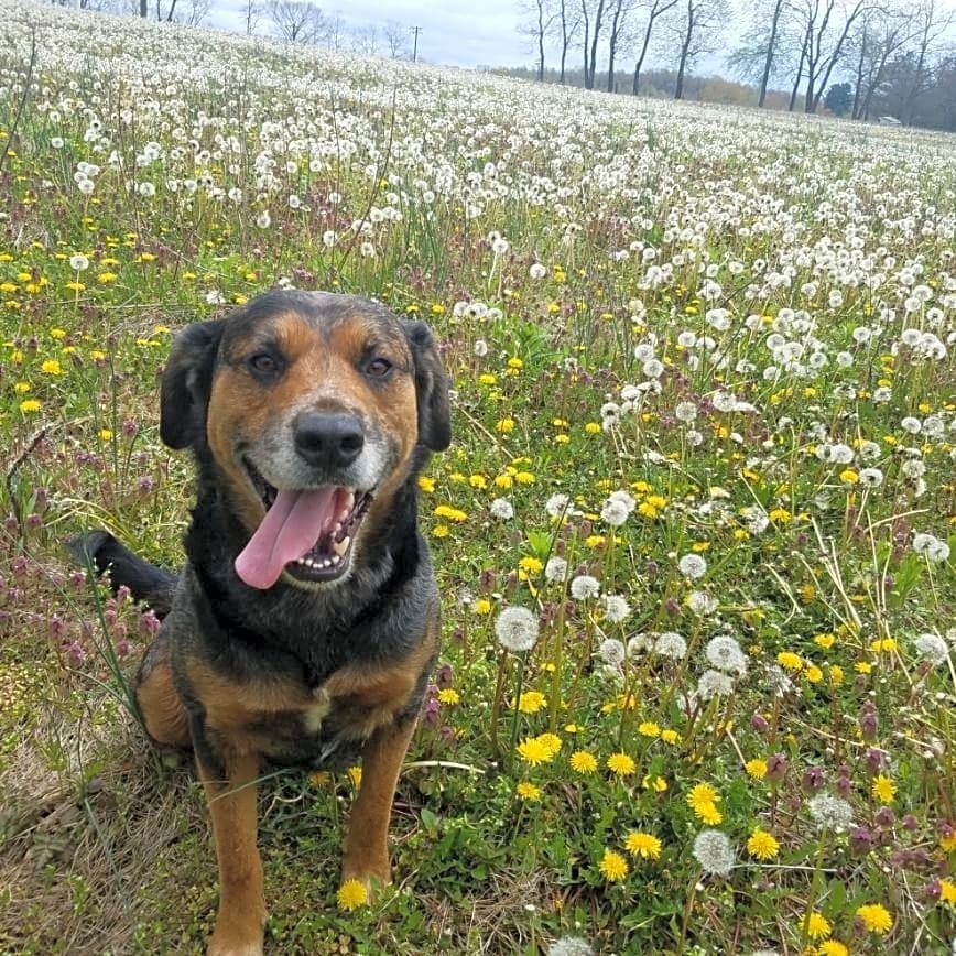 Photo of Leo