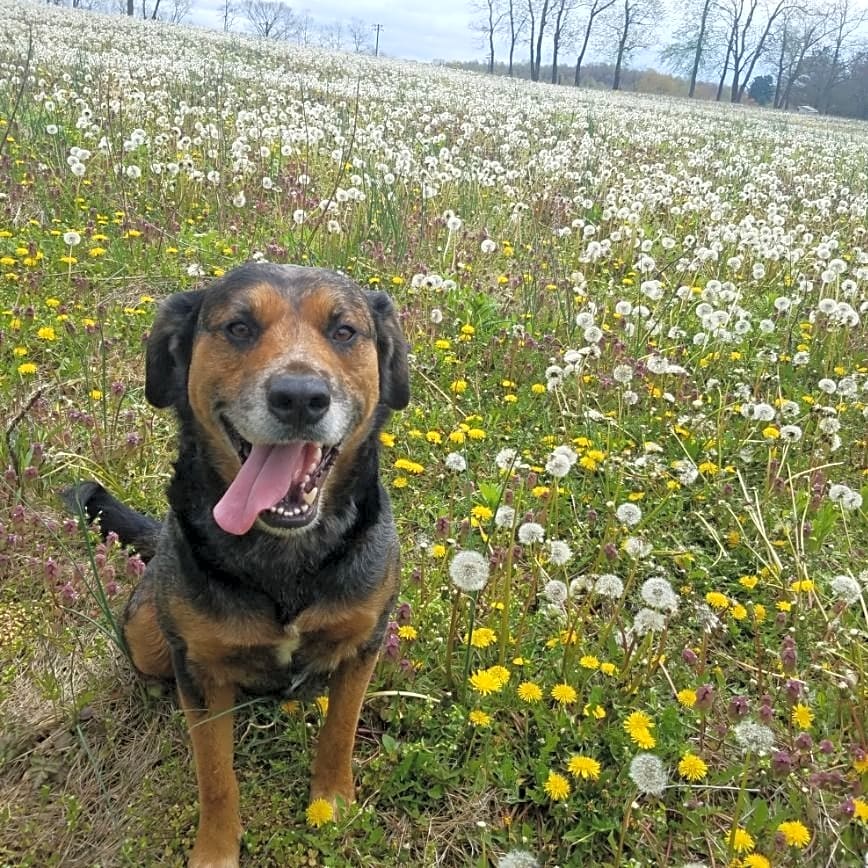 Photo of Leo