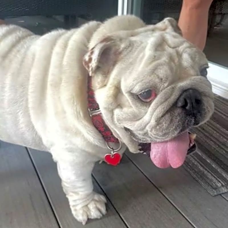 Photo of Hercules
