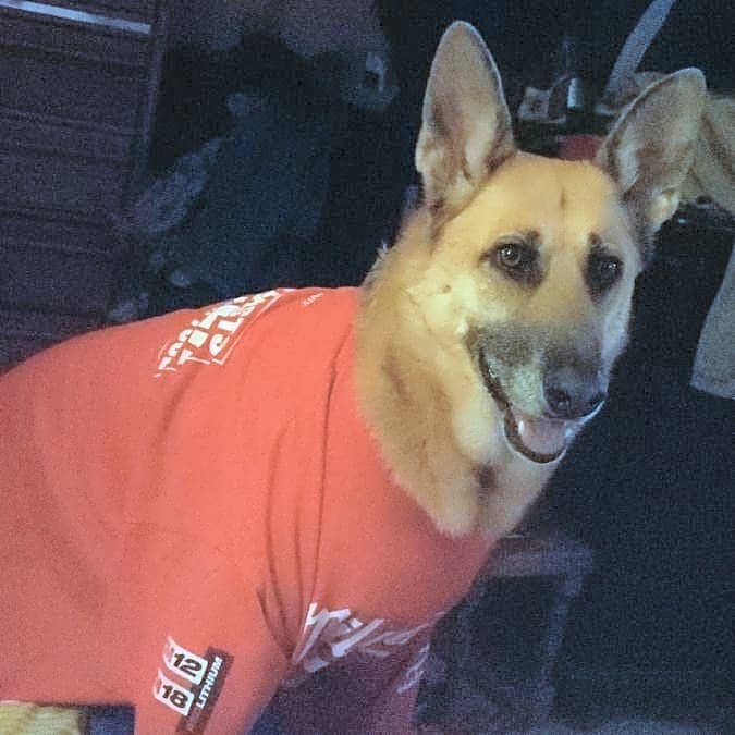 Photo of Sadie