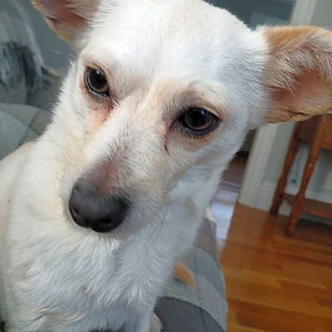 Photo of Melly