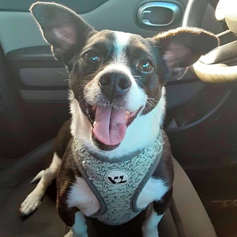 Photo of Chloe