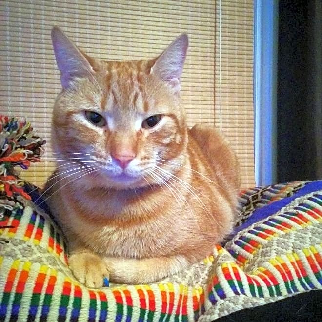 Photo of Charlie