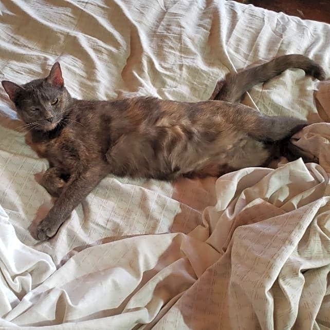 Photo of Tiny