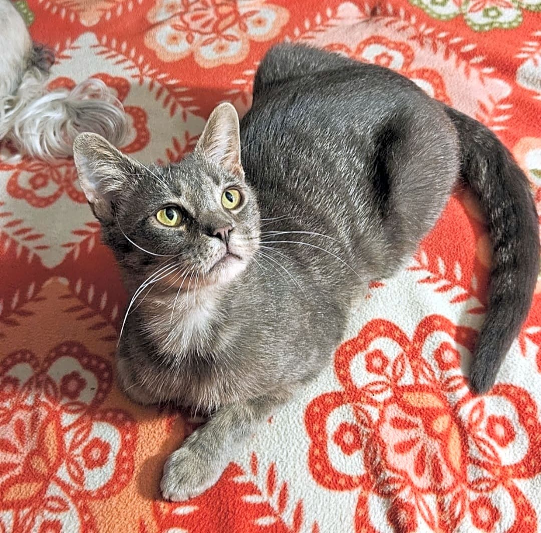 Photo of Weeble