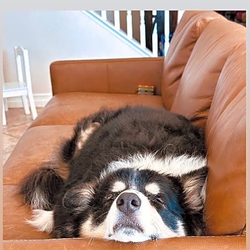 Photo of Cooper