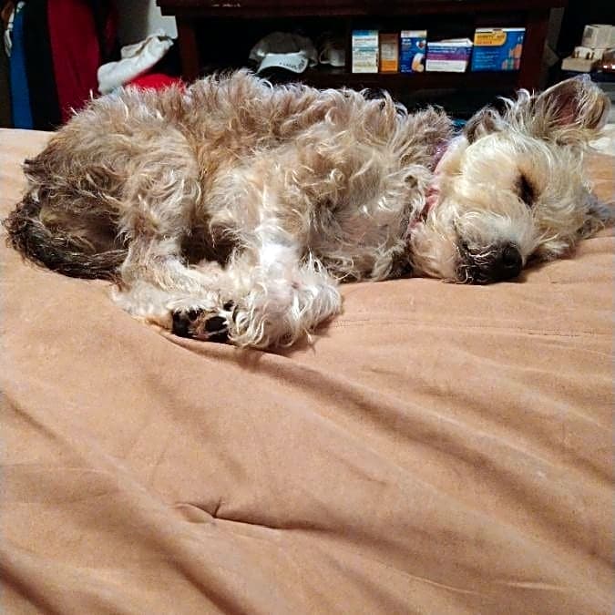 Photo of MaiTai