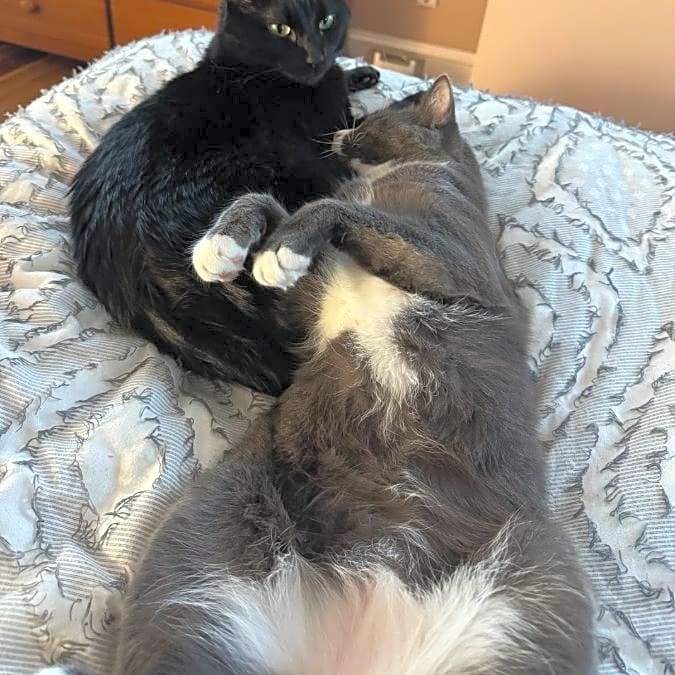 Photo of Stormi